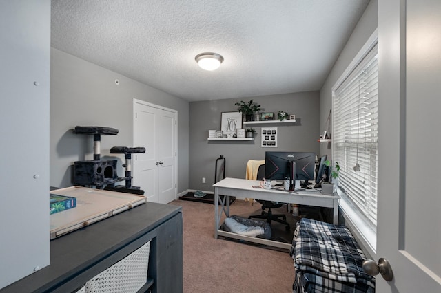 office featuring carpet, a textured ceiling, and plenty of natural light