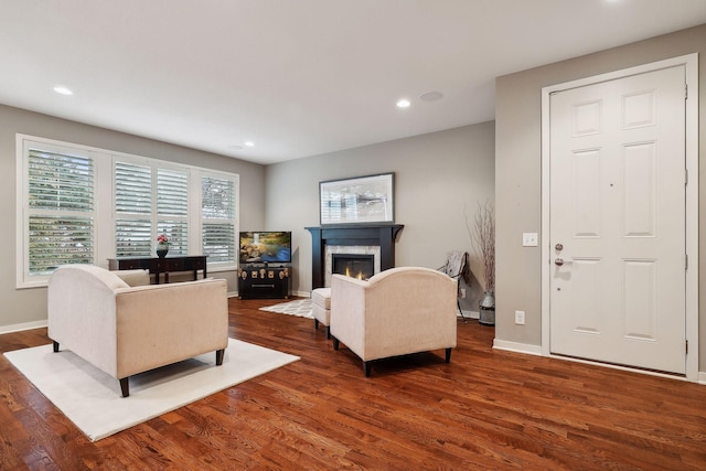 living room with dark hardwood / wood-style floors