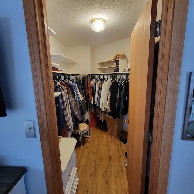 spacious closet with light hardwood / wood-style flooring