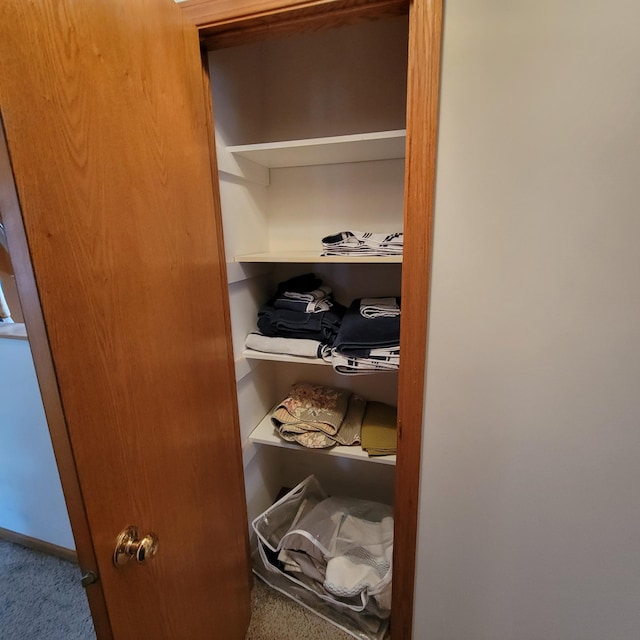 view of closet