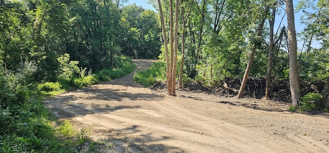 22780 Csah 14, Darwin Twp, MN 55324 - photo 51