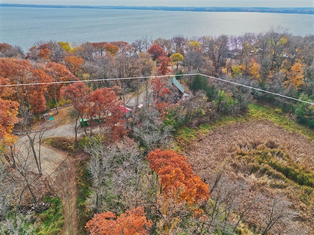 22780 Csah 14, Darwin Twp, MN 55324 - photo 53
