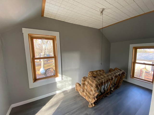 bedroom featuring dark wood-type flooring, baseboards, vaulted ceiling, and multiple windows
