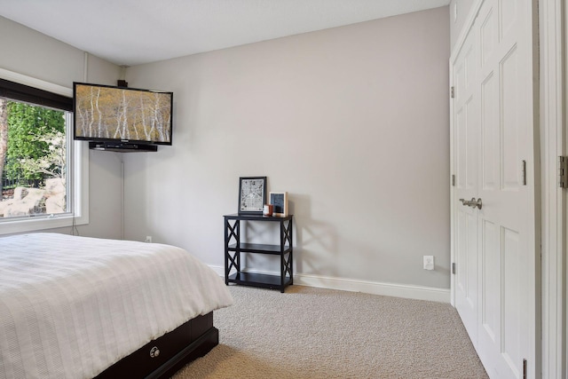 bedroom featuring carpet floors and baseboards