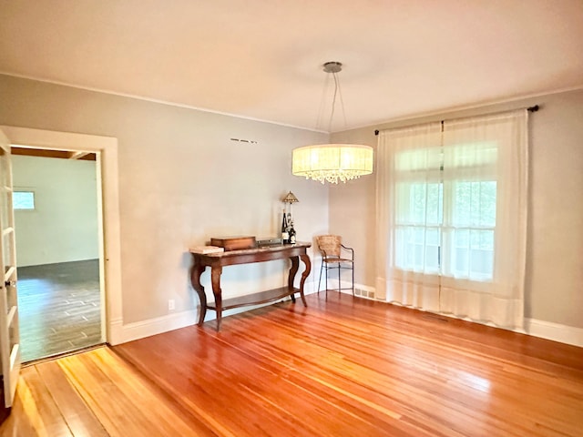 unfurnished dining area featuring wood-type flooring