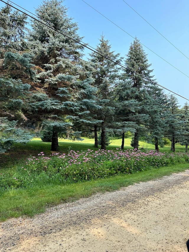 view of road
