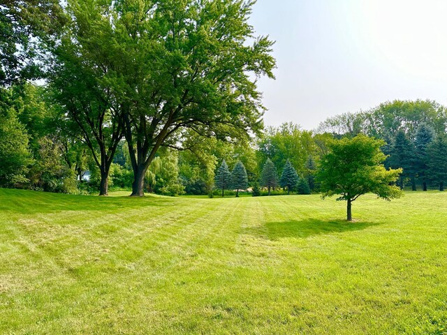 410 11th St, Albert Lea, MN 56007 - photo 94