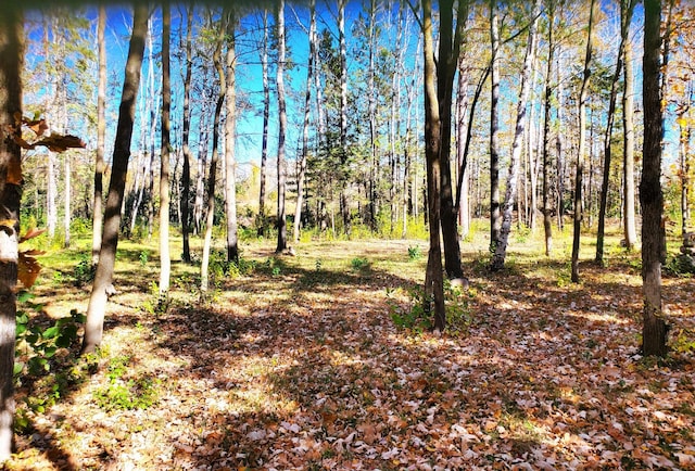 XXX 3rd St S, Brook Park MN, 55007 land for sale