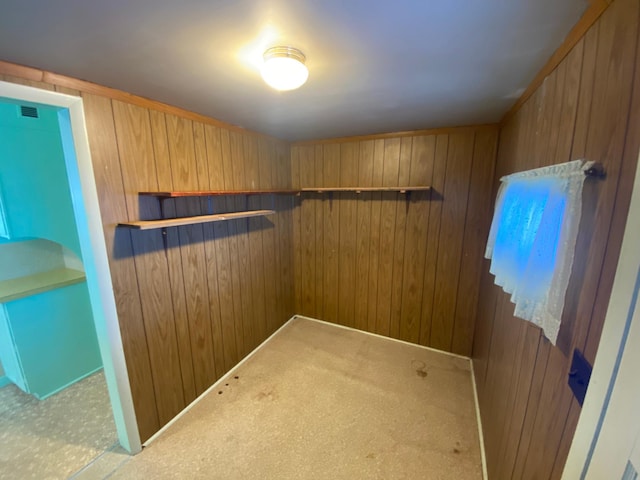 walk in closet with light carpet