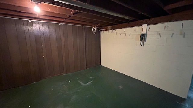 basement featuring wooden walls