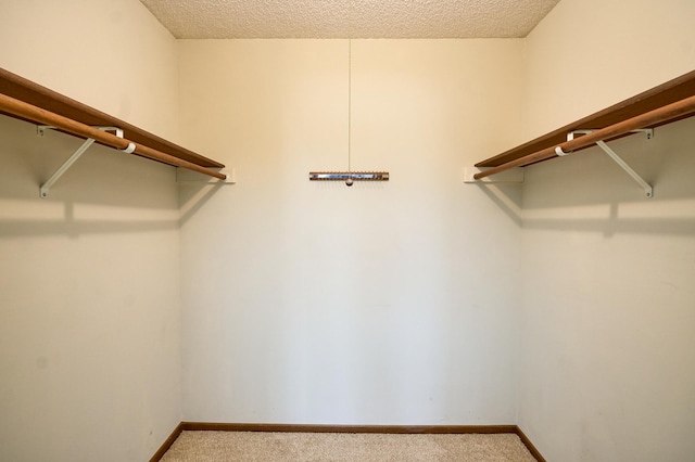 walk in closet featuring carpet flooring