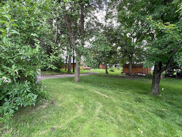 20636 Elkview Rd, Munson Twp, MN 56368 - photo 3