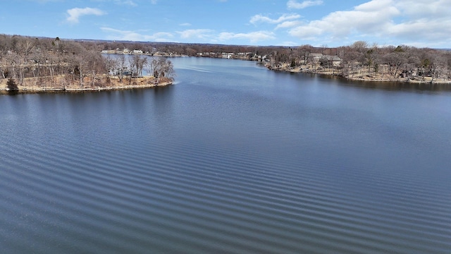 20636 Elkview Rd, Munson Twp, MN 56368 - photo 10