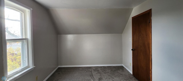 additional living space with lofted ceiling and dark colored carpet