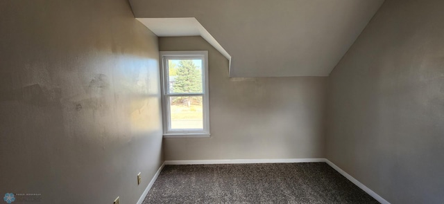 bonus room with lofted ceiling and carpet