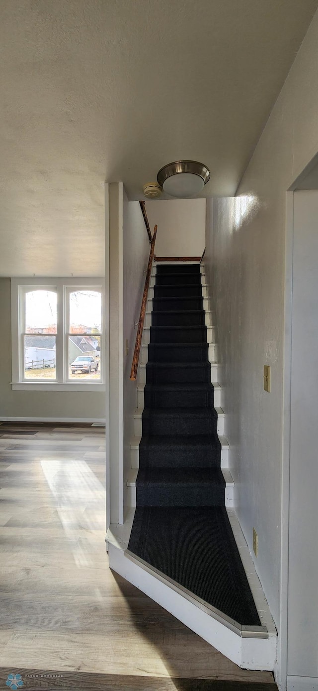 stairway with hardwood / wood-style flooring