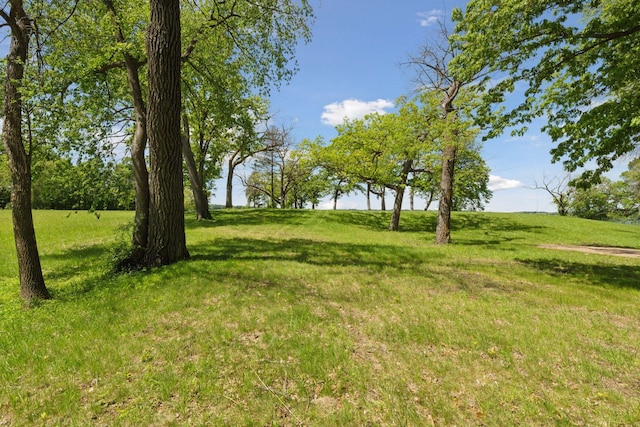 535 Bushaway Rd, Wayzata, MN 55391 - photo 16