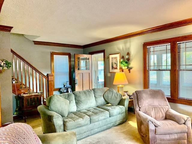 carpeted living room with crown molding and a textured ceiling