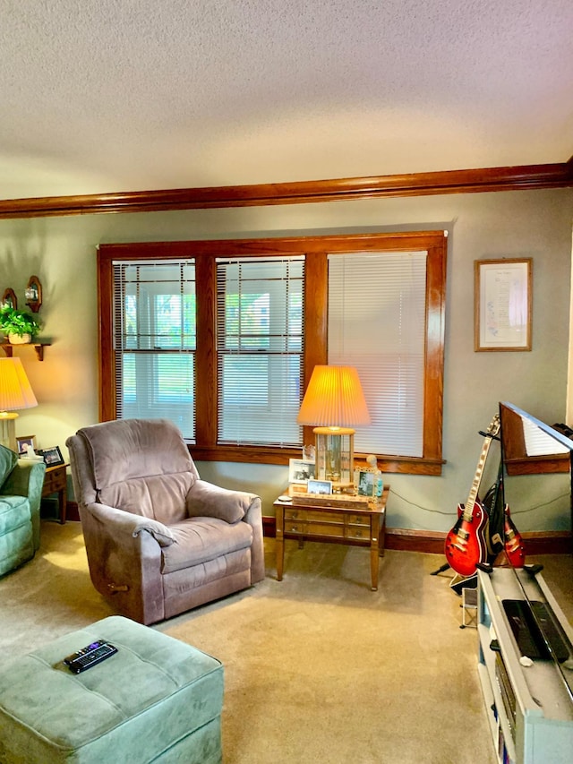 living room featuring ornamental molding, a textured ceiling, and light colored carpet