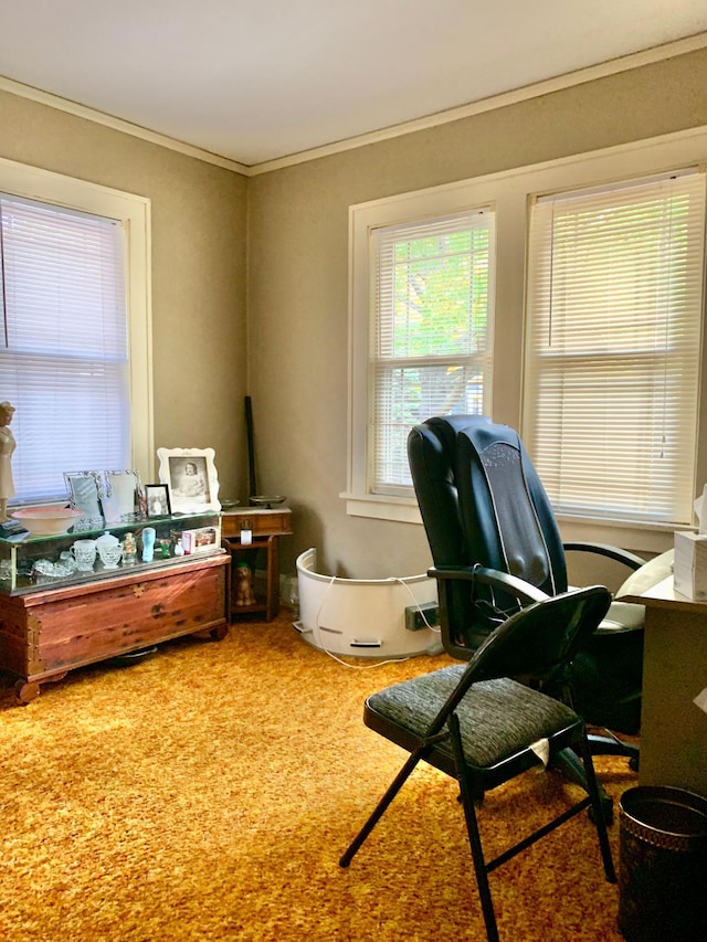 carpeted office featuring crown molding