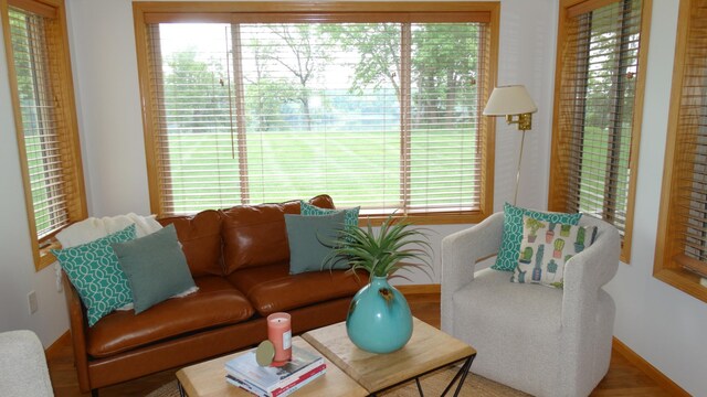 1584 Melvina Ln SW, Alexandria, MN 56308 - photo 9