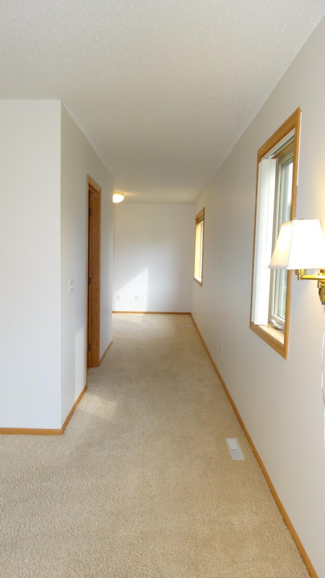 1584 Melvina Ln SW, Alexandria, MN 56308 - photo 18