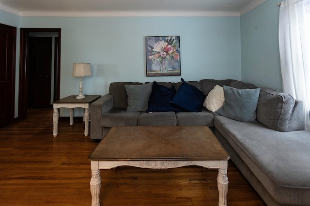 living area with dark wood-style flooring