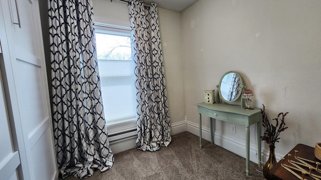 misc room with carpet