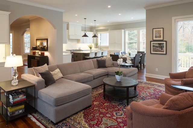 living room featuring a wealth of natural light, ornamental molding, and dark hardwood / wood-style floors