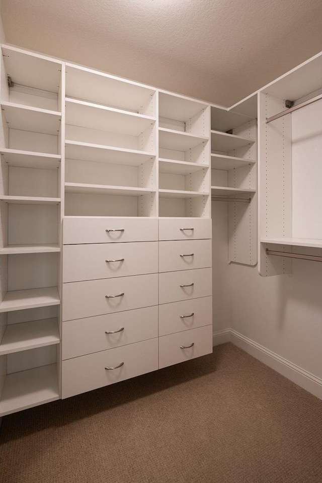 spacious closet with carpet floors