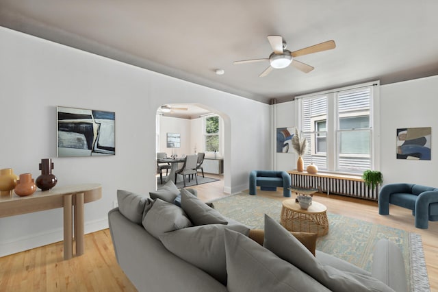 living room featuring ceiling fan, radiator heating unit, and light hardwood / wood-style floors