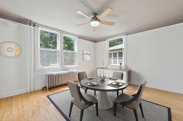 dining area with radiator, ceiling fan, a healthy amount of sunlight, and light hardwood / wood-style floors