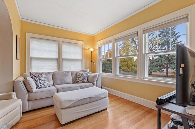 living room featuring crown molding and light hardwood / wood-style flooring