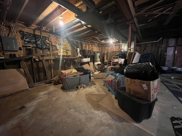 basement featuring electric panel