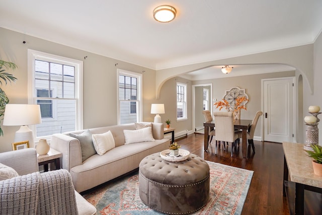 living room featuring plenty of natural light, dark hardwood / wood-style floors, and crown molding