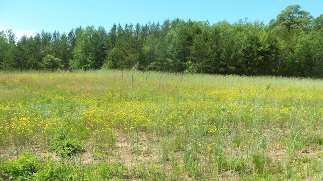 Listing photo 3 for LOT8 Maple Ln, Siren WI 54872