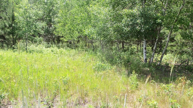 Listing photo 3 for LOT10 Maple Ln, Siren WI 54872