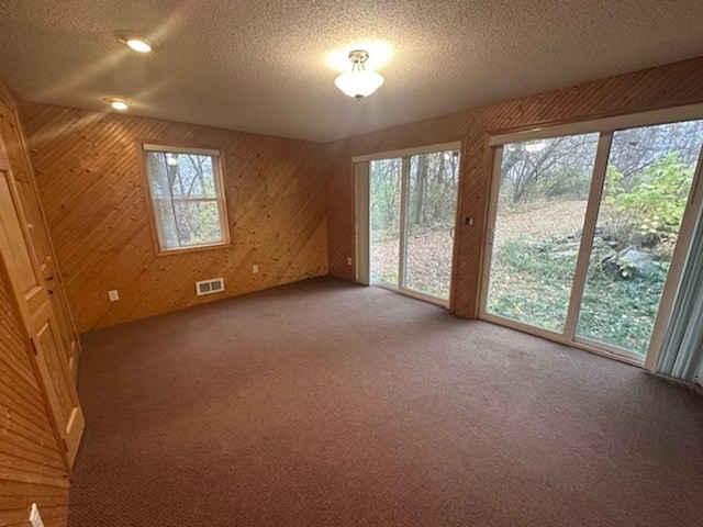 additional living space with a textured ceiling, carpet floors, wooden walls, and a wealth of natural light