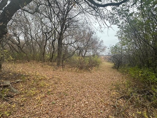 view of local wilderness