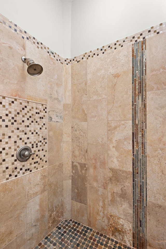 4637 Carlow Rd, Mound, MN 55364 - full bath with a tile shower