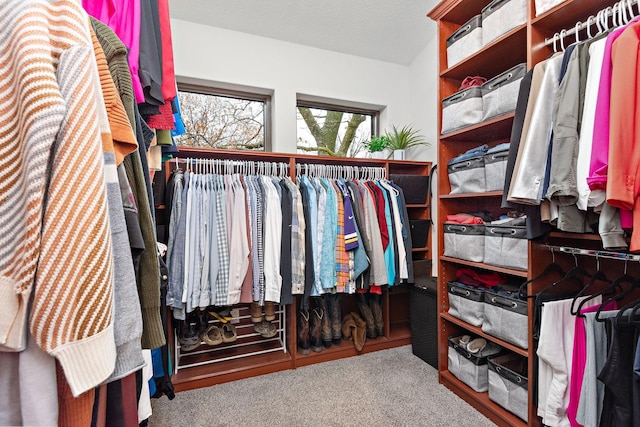 4637 Carlow Rd, Mound, MN 55364 - spacious closet with carpet floors