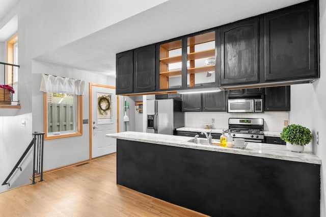 kitchen featuring tasteful backsplash, light wood-type flooring, a healthy amount of sunlight, and stainless steel appliances