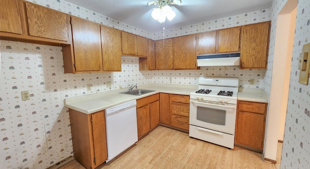 kitchen with under cabinet range hood, a sink, white appliances, light wood-type flooring, and ceiling fan