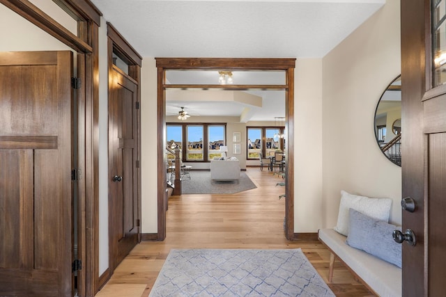 corridor featuring light hardwood / wood-style flooring