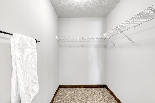 walk in closet featuring carpet flooring