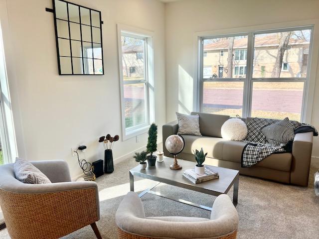 516 Elm St, Redwood Falls, MN 56283 - carpeted living room featuring plenty of natural light and baseboards