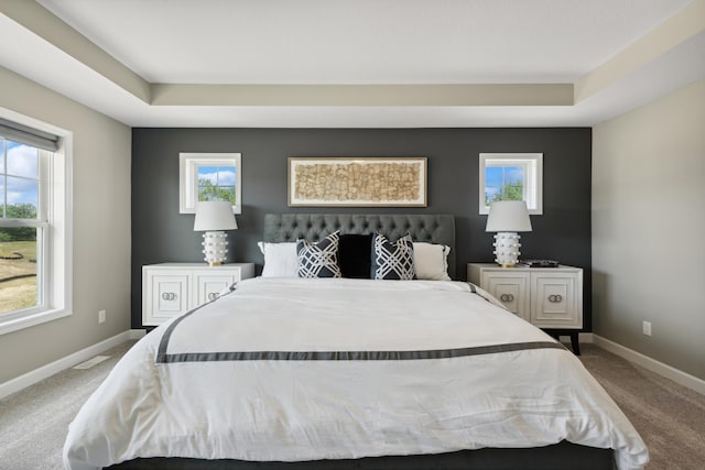 carpeted bedroom with a tray ceiling