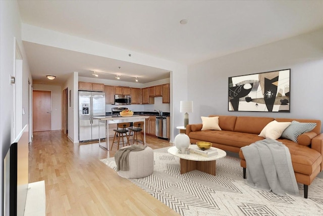 living room featuring light hardwood / wood-style floors and sink