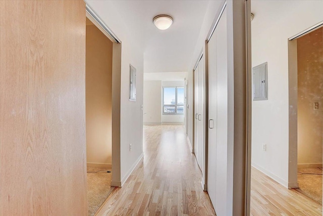 hallway featuring electric panel and light hardwood / wood-style floors