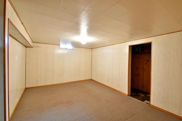 basement with wood walls and carpet floors